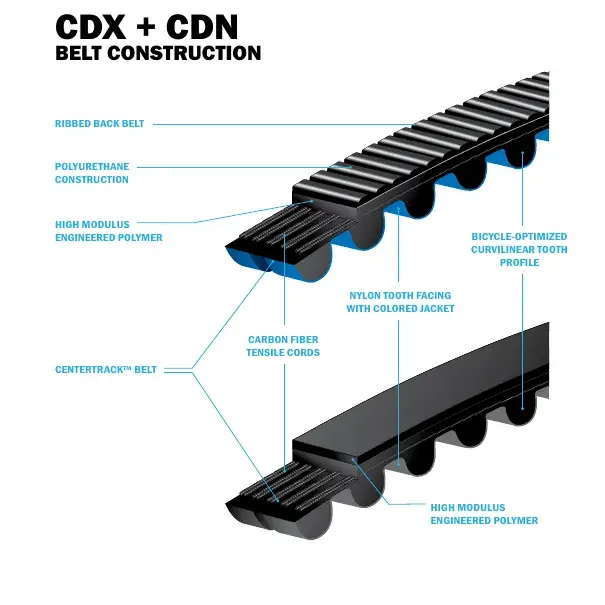 Cross-section of a Gates Carbon Drive belt showing the ribbed back, polymer body, carbon tensile cords and nylon tooth facing.