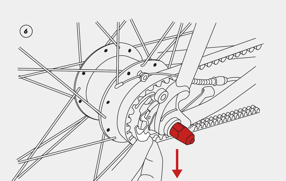 Removing the rear wheel downward from the frame after disconnecting the Alfine shift cable.