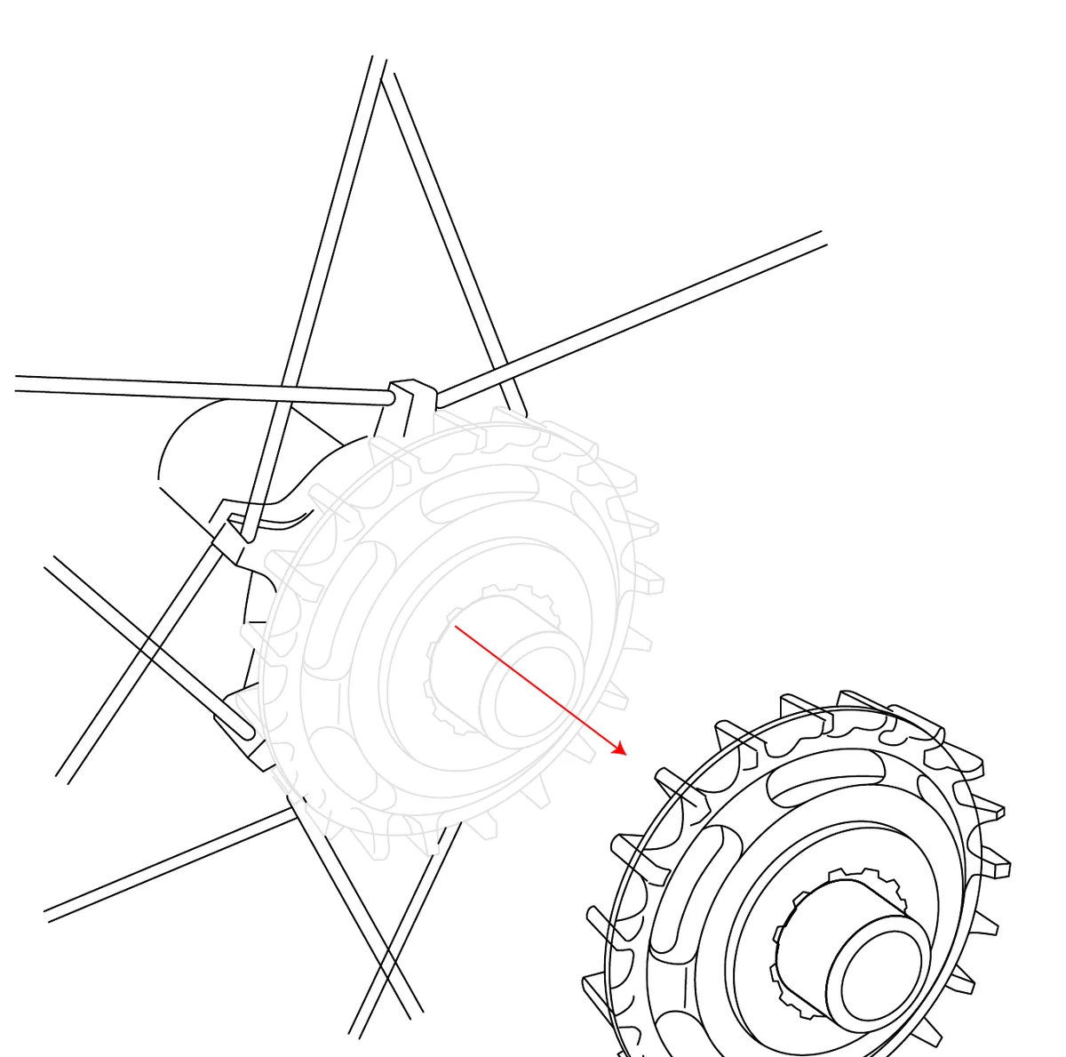 Possible SpinnerOne removable hub center removed from the rear hub.